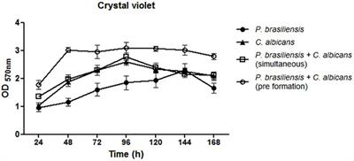 Dynamics of Mono- and Dual-Species Biofilm Formation and Interactions Between Paracoccidioides brasiliensis and Candida albicans